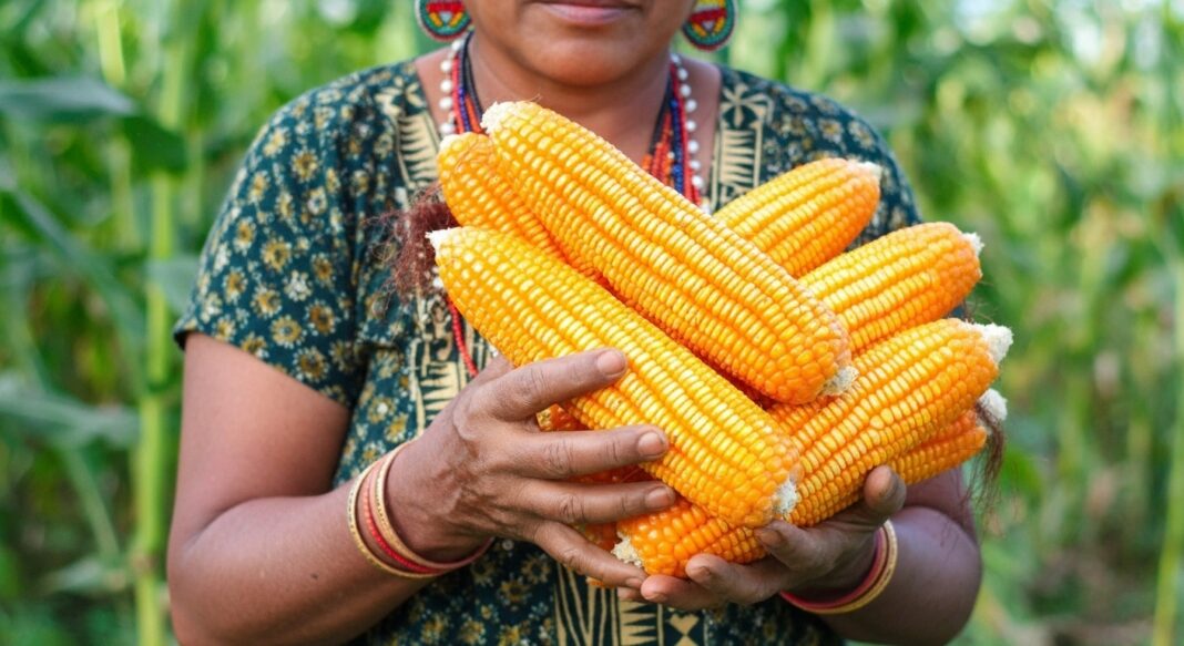 What is Zambia known for producing